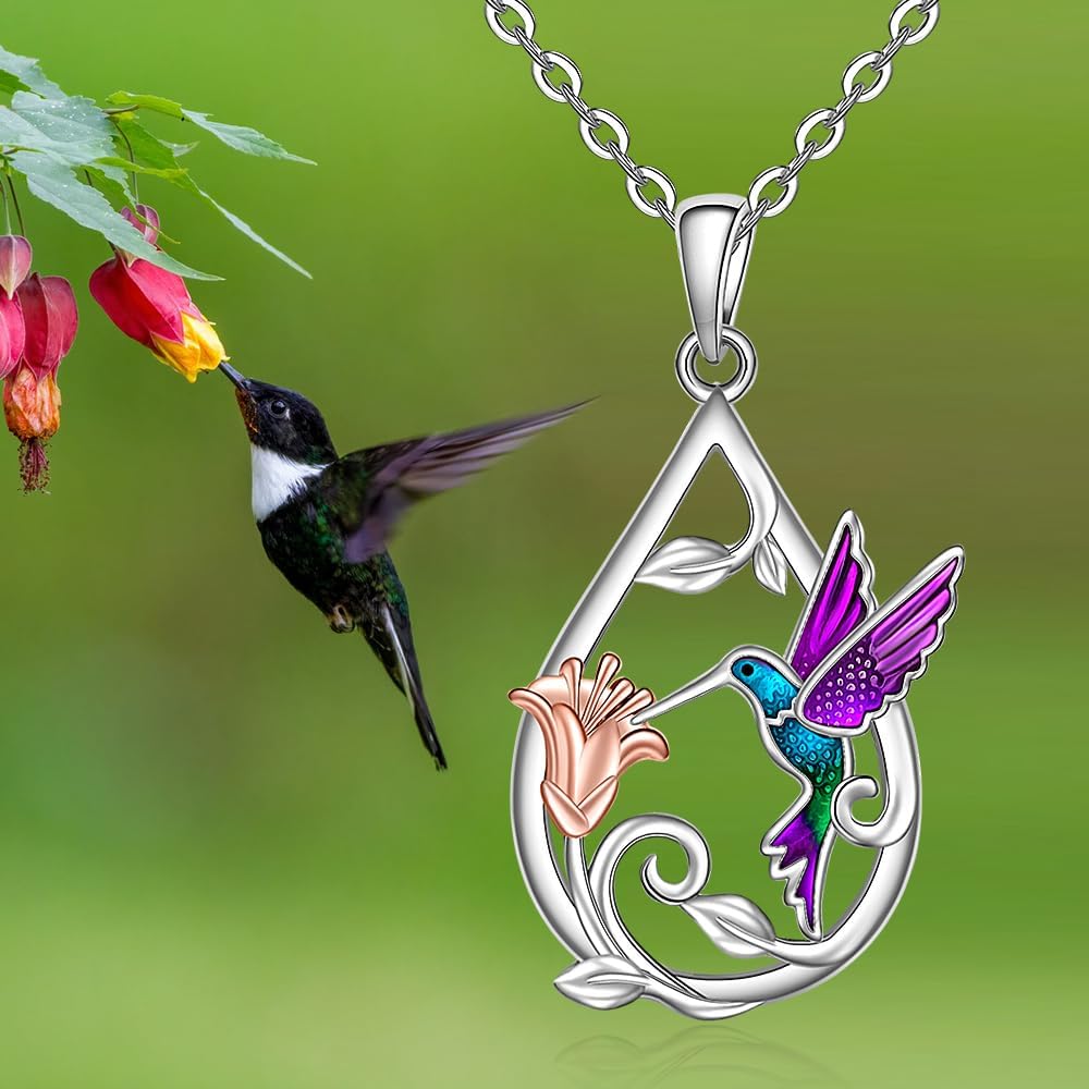 Beautiful Hummingbird Necklace for Women with Bonus Earrings 1